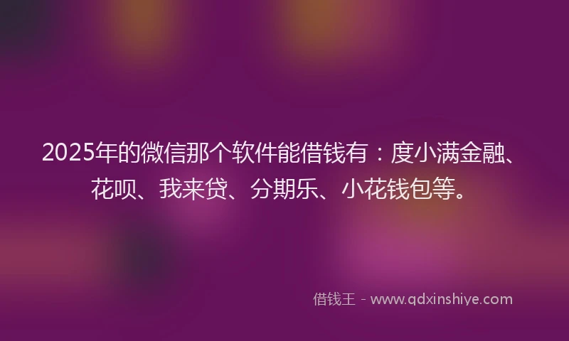 2025年的微信那个软件能借钱有：度小满金融、花呗、我来贷、分期乐、小花钱包等。