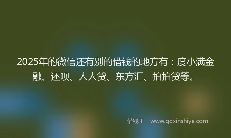 2025年的微信还有别的借钱的地方有：度小满金融、还呗、人人贷、东方汇、拍拍贷等。