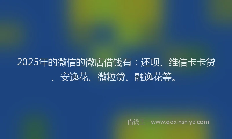 2025年的微信的微店借钱有：还呗、维信卡卡贷、安逸花、微粒贷、融逸花等。
