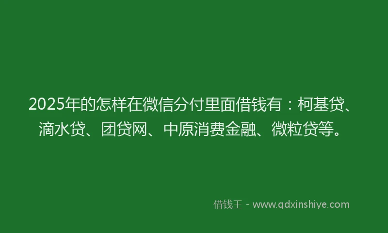2025年的怎样在微信分付里面借钱有：柯基贷、滴水贷、团贷网、中原消费金融、微粒贷等。