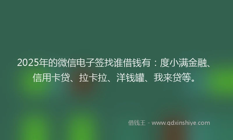 2025年的微信电子签找谁借钱有：度小满金融、信用卡贷、拉卡拉、洋钱罐、我来贷等。