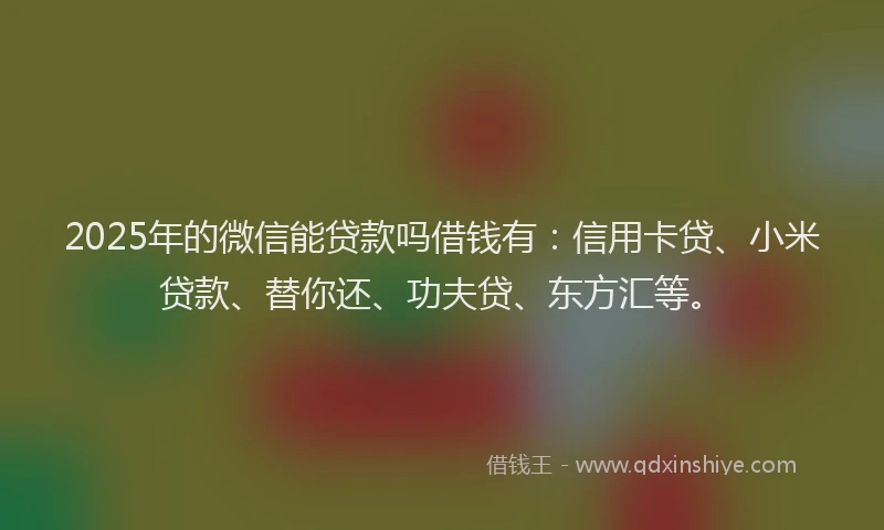 2025年的微信能贷款吗借钱有：信用卡贷、小米贷款、替你还、功夫贷、东方汇等。