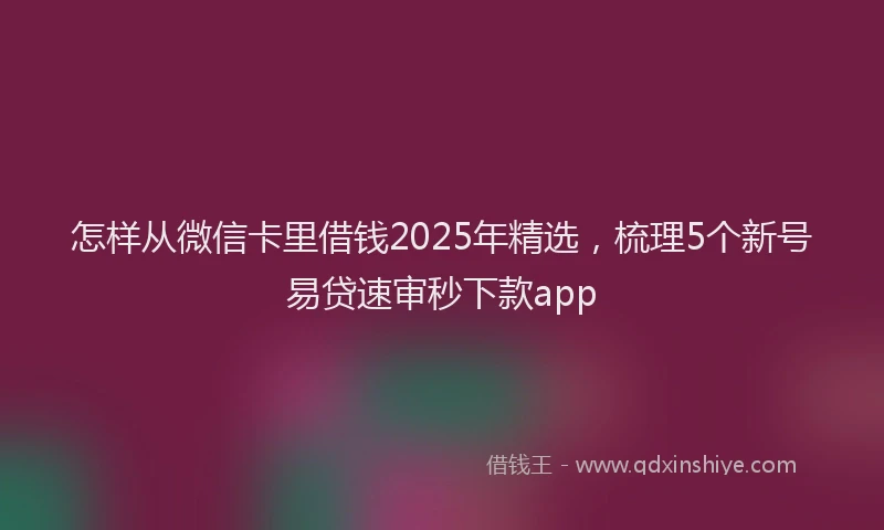 怎样从微信卡里借钱2025年精选，梳理5个新号易贷速审秒下款app