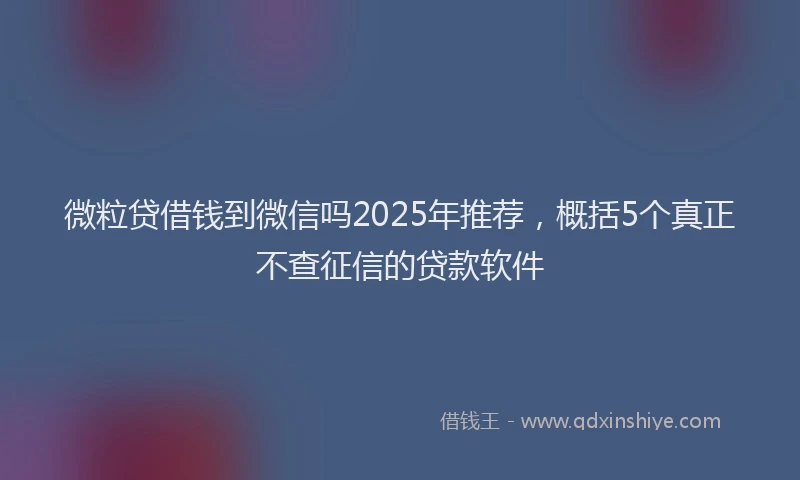 微粒贷借钱到微信吗2025年推荐，概括5个真正不查征信的贷款软件