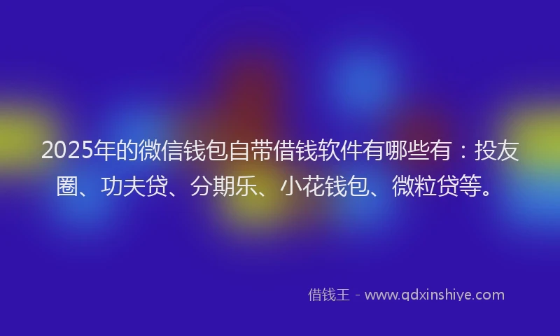 2025年的微信钱包自带借钱软件有哪些有：投友圈、功夫贷、分期乐、小花钱包、微粒贷等。