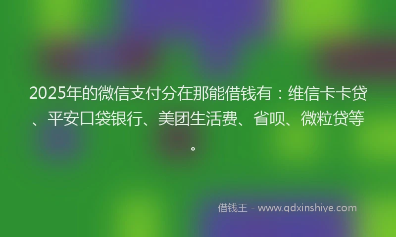 2025年的微信支付分在那能借钱有：维信卡卡贷、平安口袋银行、美团生活费、省呗、微粒贷等。