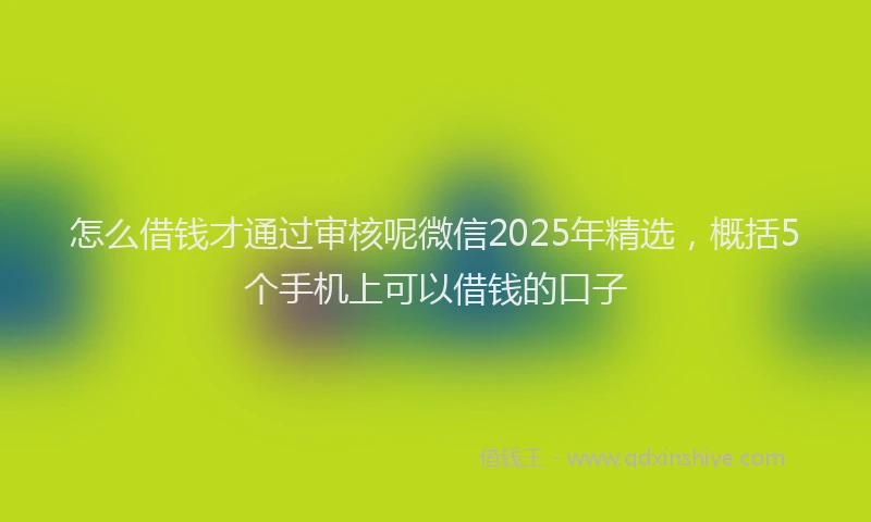 怎么借钱才通过审核呢微信2025年精选，概括5个手机上可以借钱的口子