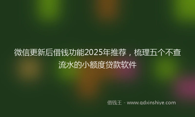 微信更新后借钱功能2025年推荐，梳理五个不查流水的小额度贷款软件
