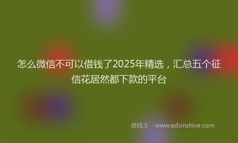 怎么微信不可以借钱了2025年精选，汇总五个征信花居然都下款的平台