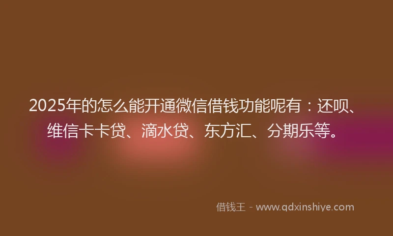 2025年的怎么能开通微信借钱功能呢有：还呗、维信卡卡贷、滴水贷、东方汇、分期乐等。