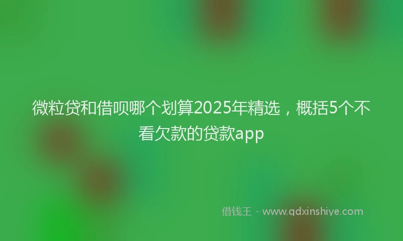 微粒贷和借呗哪个划算2025年精选，概括5个不看欠款的贷款app