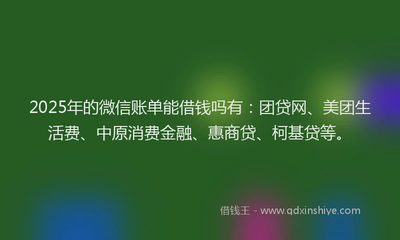 2025年的微信账单能借钱吗有：团贷网、美团生活费、中原消费金融、惠商贷、柯基贷等。