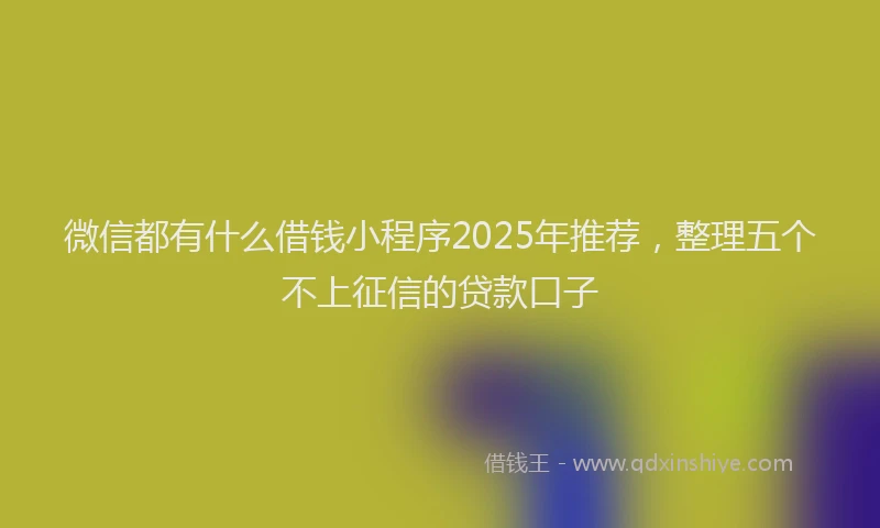 微信都有什么借钱小程序2025年推荐，整理五个不上征信的贷款口子