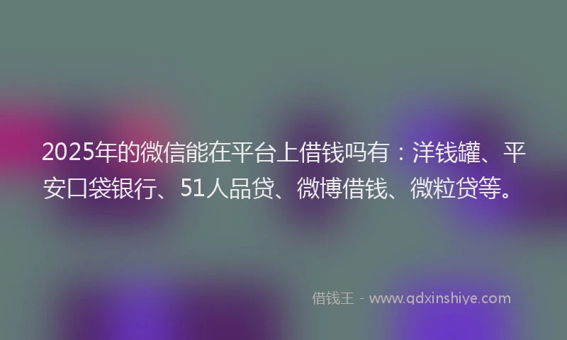 2025年的微信能在平台上借钱吗有：洋钱罐、平安口袋银行、51人品贷、微博借钱、微粒贷等。
