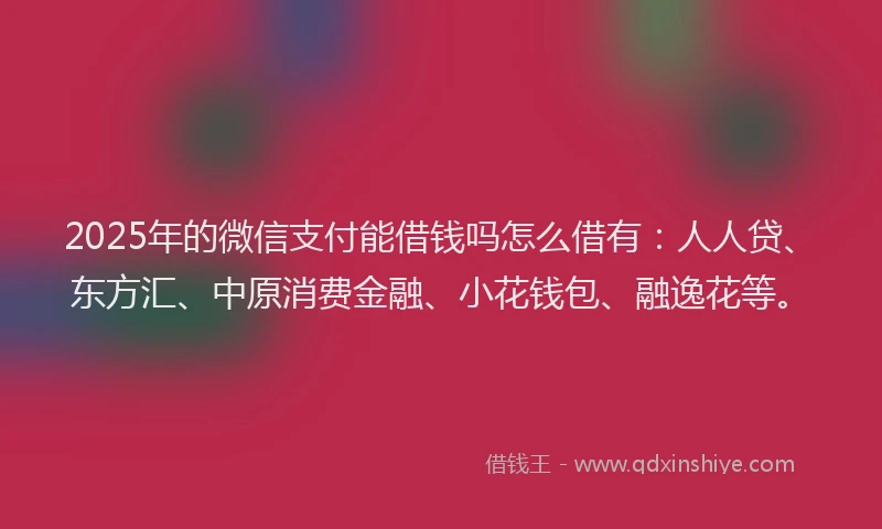 2025年的微信支付能借钱吗怎么借有：人人贷、东方汇、中原消费金融、小花钱包、融逸花等。