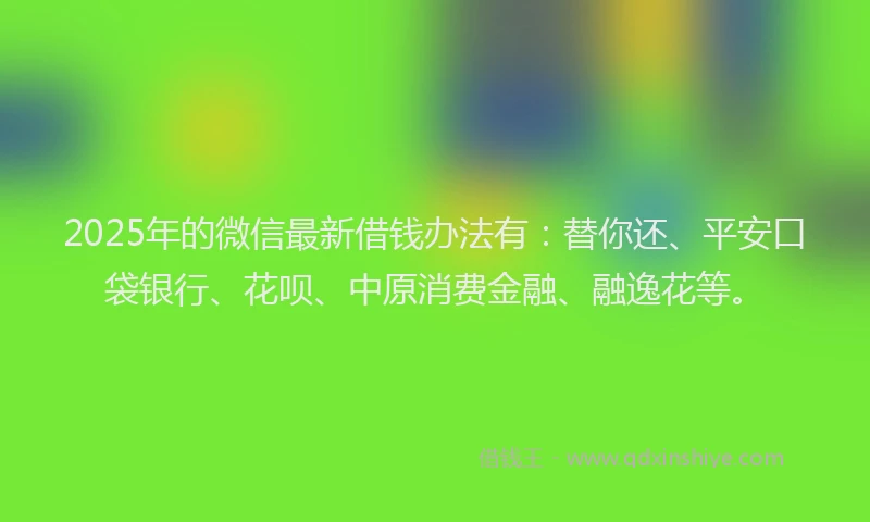 2025年的微信最新借钱办法有：替你还、平安口袋银行、花呗、中原消费金融、融逸花等。