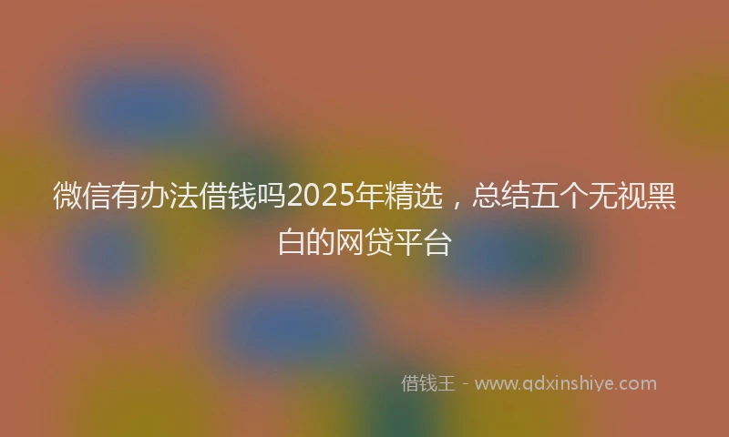 微信有办法借钱吗2025年精选，总结五个无视黑白的网贷平台