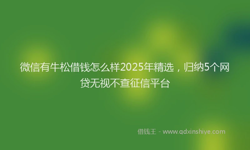 微信有牛松借钱怎么样2025年精选，归纳5个网贷无视不查征信平台