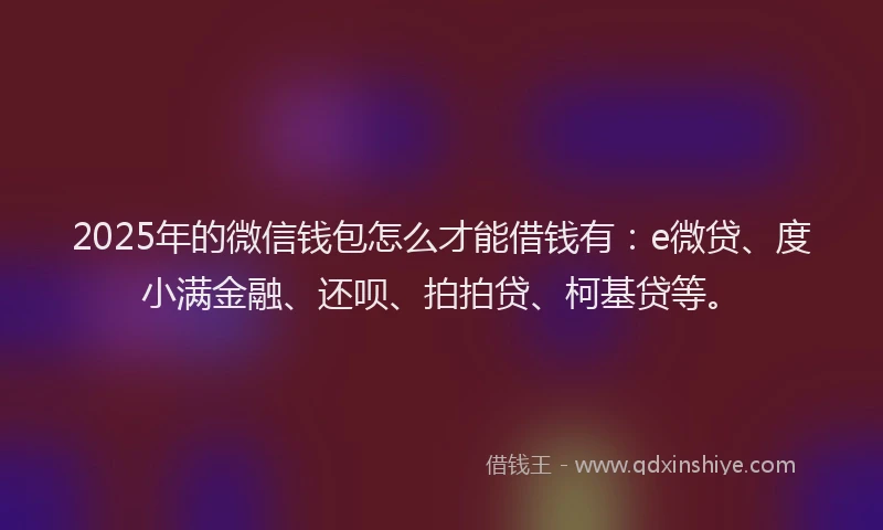2025年的微信钱包怎么才能借钱有：e微贷、度小满金融、还呗、拍拍贷、柯基贷等。