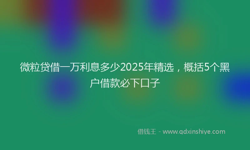 微粒贷借一万利息多少2025年精选，概括5个黑户借款必下口子