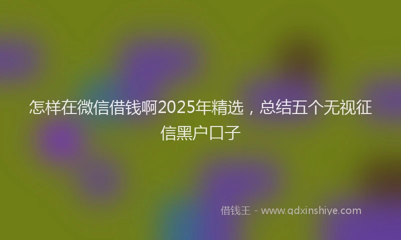 怎样在微信借钱啊2025年精选，总结五个无视征信黑户口子