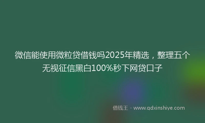 微信能使用微粒贷借钱吗2025年精选，整理五个无视征信黑白100%秒下网贷口子