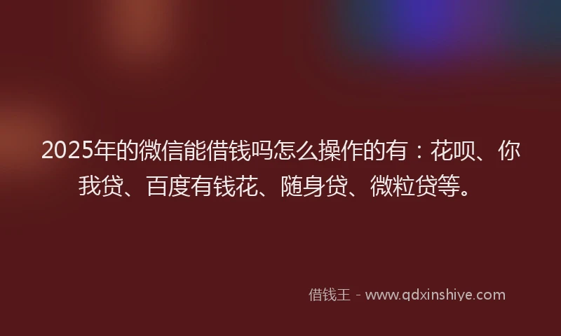 2025年的微信能借钱吗怎么操作的有：花呗、你我贷、百度有钱花、随身贷、微粒贷等。