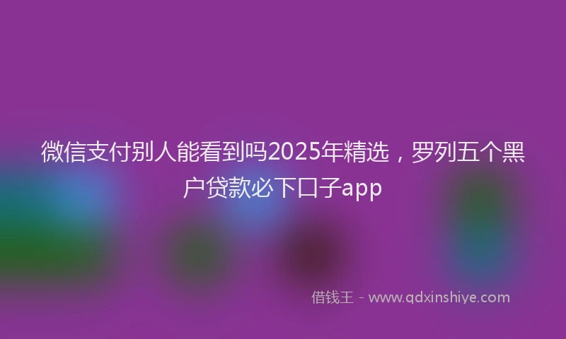 微信支付别人能看到吗2025年精选，罗列五个黑户贷款必下口子app