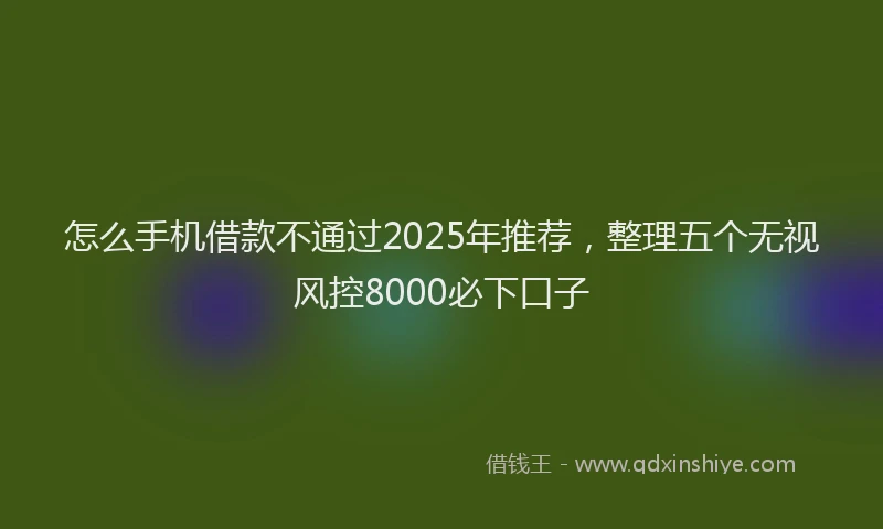 怎么手机借款不通过2025年推荐，整理五个无视风控8000必下口子