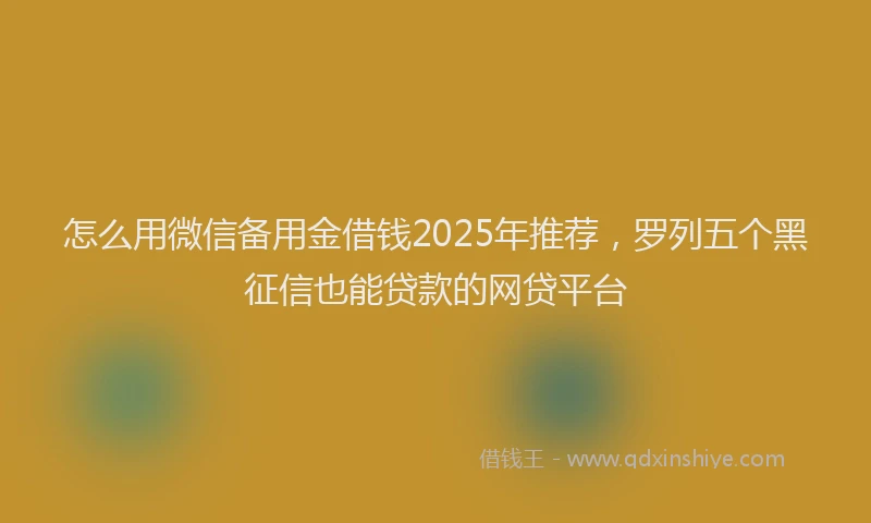 怎么用微信备用金借钱2025年推荐，罗列五个黑征信也能贷款的网贷平台