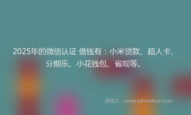 2025年的微信认证 借钱有：小米贷款、超人卡、分期乐、小花钱包、省呗等。