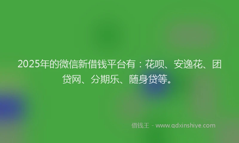 2025年的微信新借钱平台有：花呗、安逸花、团贷网、分期乐、随身贷等。