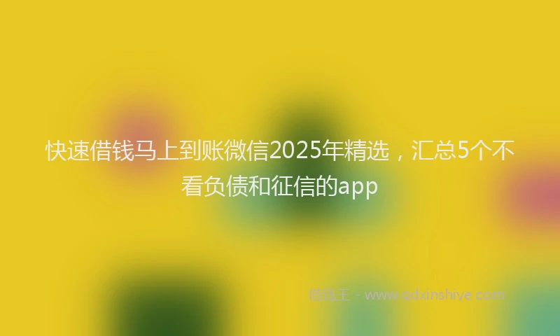 快速借钱马上到账微信2025年精选，汇总5个不看负债和征信的app