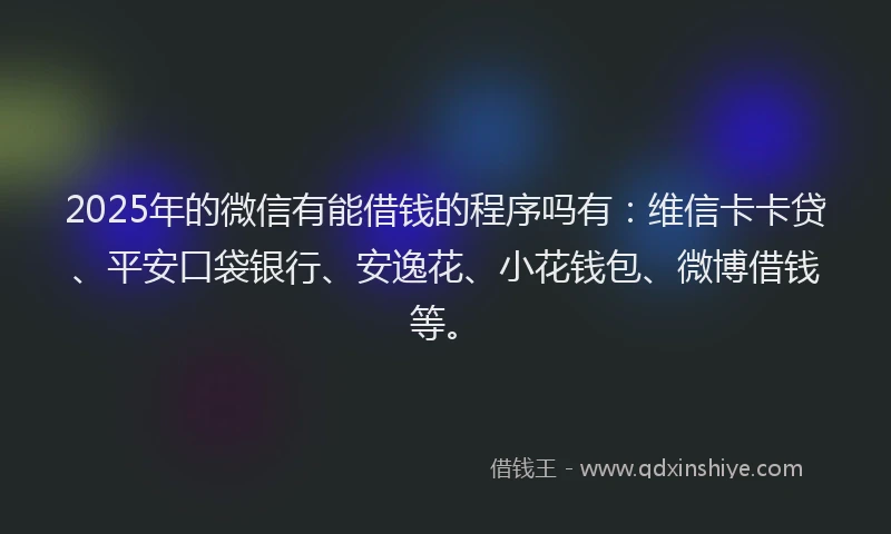 2025年的微信有能借钱的程序吗有：维信卡卡贷、平安口袋银行、安逸花、小花钱包、微博借钱等。