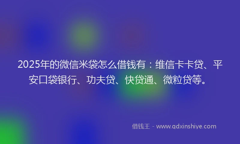 2025年的微信米袋怎么借钱有：维信卡卡贷、平安口袋银行、功夫贷、快贷通、微粒贷等。