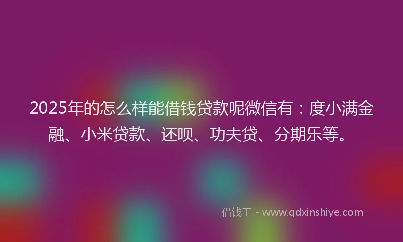 2025年的怎么样能借钱贷款呢微信有：度小满金融、小米贷款、还呗、功夫贷、分期乐等。