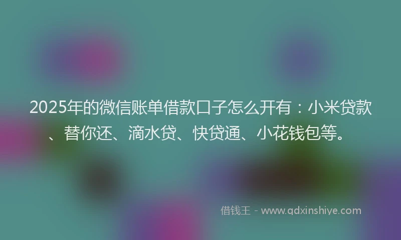 2025年的微信账单借款口子怎么开有：小米贷款、替你还、滴水贷、快贷通、小花钱包等。