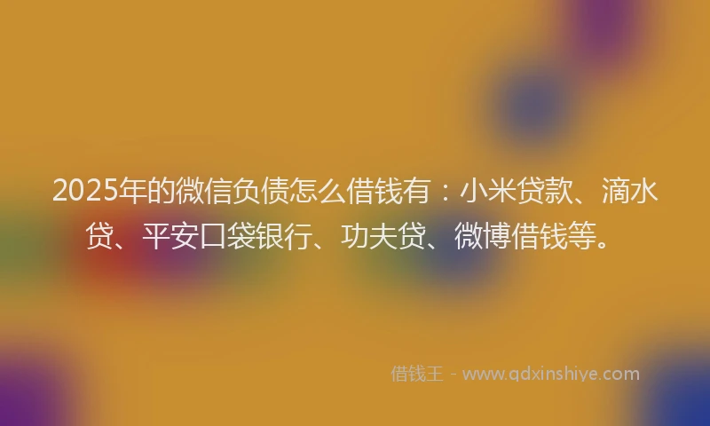 2025年的微信负债怎么借钱有：小米贷款、滴水贷、平安口袋银行、功夫贷、微博借钱等。