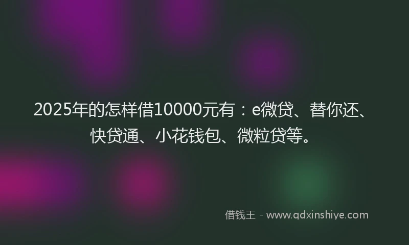 2025年的怎样借10000元有：e微贷、替你还、快贷通、小花钱包、微粒贷等。