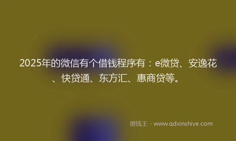 2025年的微信有个借钱程序有：e微贷、安逸花、快贷通、东方汇、惠商贷等。