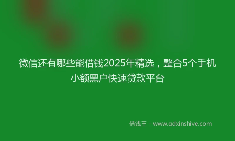 微信还有哪些能借钱2025年精选，整合5个手机小额黑户快速贷款平台