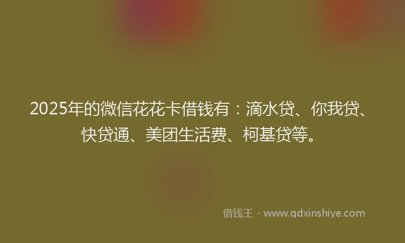 2025年的微信花花卡借钱有：滴水贷、你我贷、快贷通、美团生活费、柯基贷等。