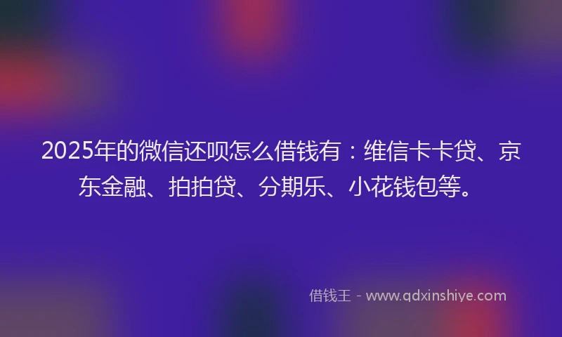 2025年的微信还呗怎么借钱有：维信卡卡贷、京东金融、拍拍贷、分期乐、小花钱包等。