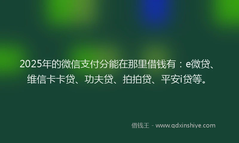 2025年的微信支付分能在那里借钱有：e微贷、维信卡卡贷、功夫贷、拍拍贷、平安i贷等。