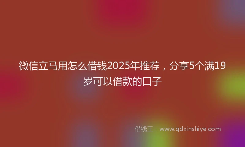 微信立马用怎么借钱2025年推荐，分享5个满19岁可以借款的口子