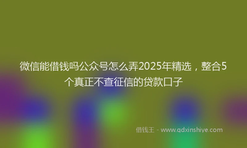 微信能借钱吗公众号怎么弄2025年精选，整合5个真正不查征信的贷款口子