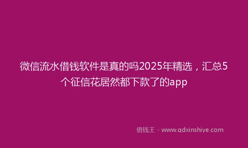 微信流水借钱软件是真的吗2025年精选，汇总5个征信花居然都下款了的app