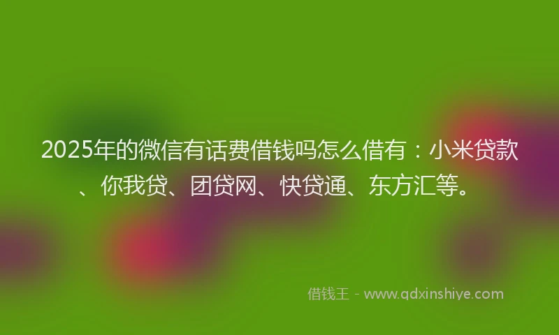 2025年的微信有话费借钱吗怎么借有：小米贷款、你我贷、团贷网、快贷通、东方汇等。