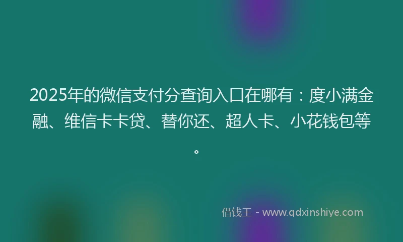2025年的微信支付分查询入口在哪有：度小满金融、维信卡卡贷、替你还、超人卡、小花钱包等。