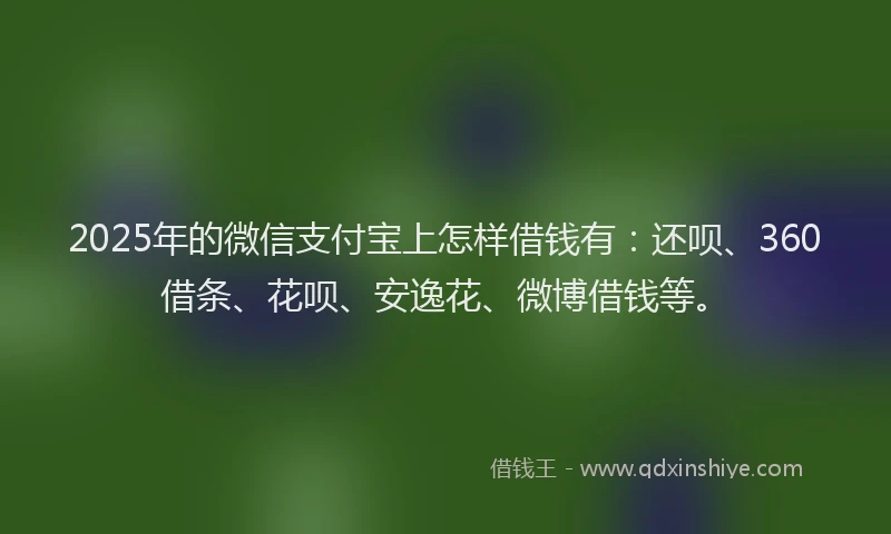 2025年的微信支付宝上怎样借钱有：还呗、360借条、花呗、安逸花、微博借钱等。